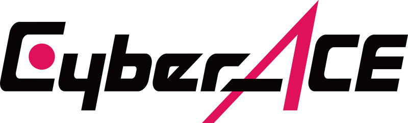 株式会社CyberACE